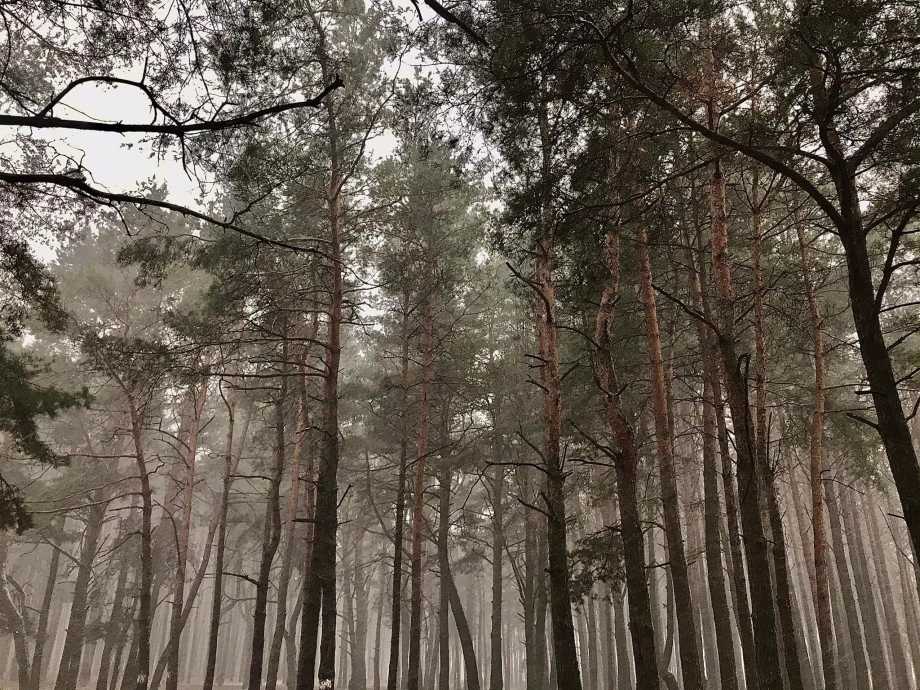 Повідомляємо